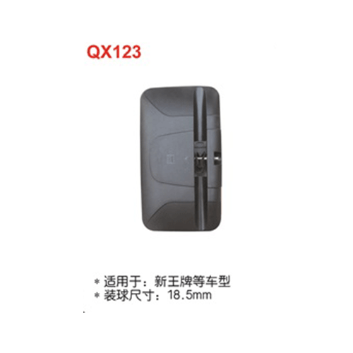 QX123  新王牌等車型